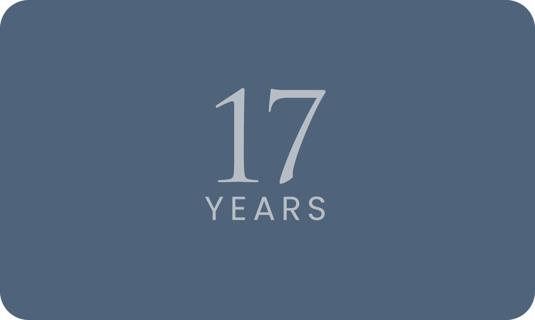 17 years graphic